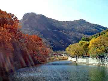 飞鹤奶粉河南总代理，风流天籁纸鸢